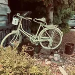 Vintage 姆拉哥沃